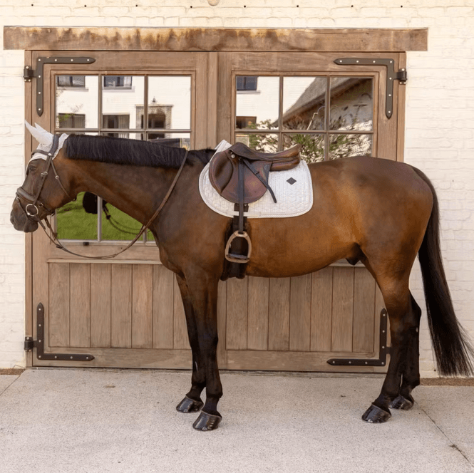Hovedbilde Kentucky Saddle Pad Velvet Printing