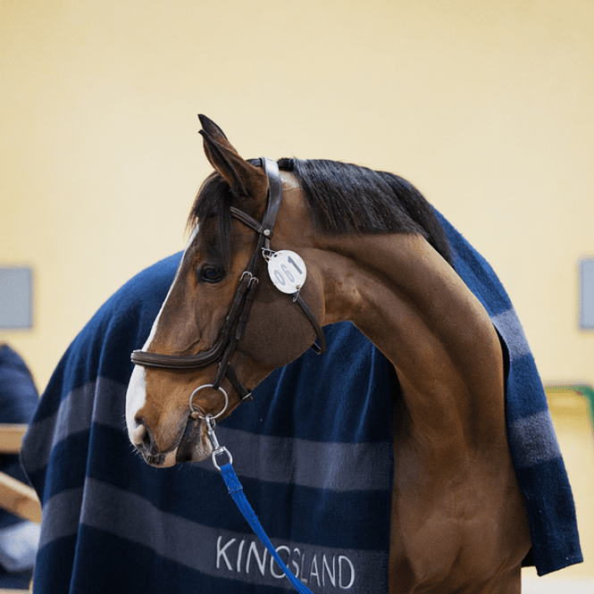 Hovedbilde Kingsland Classic wool dekken
