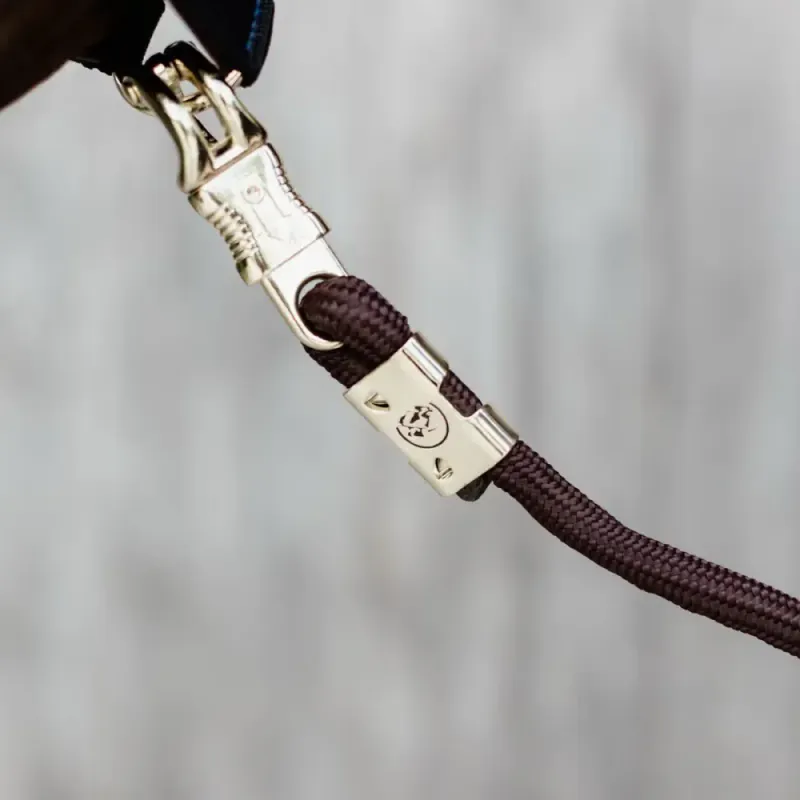 Kentucky Lead rope Panic hook