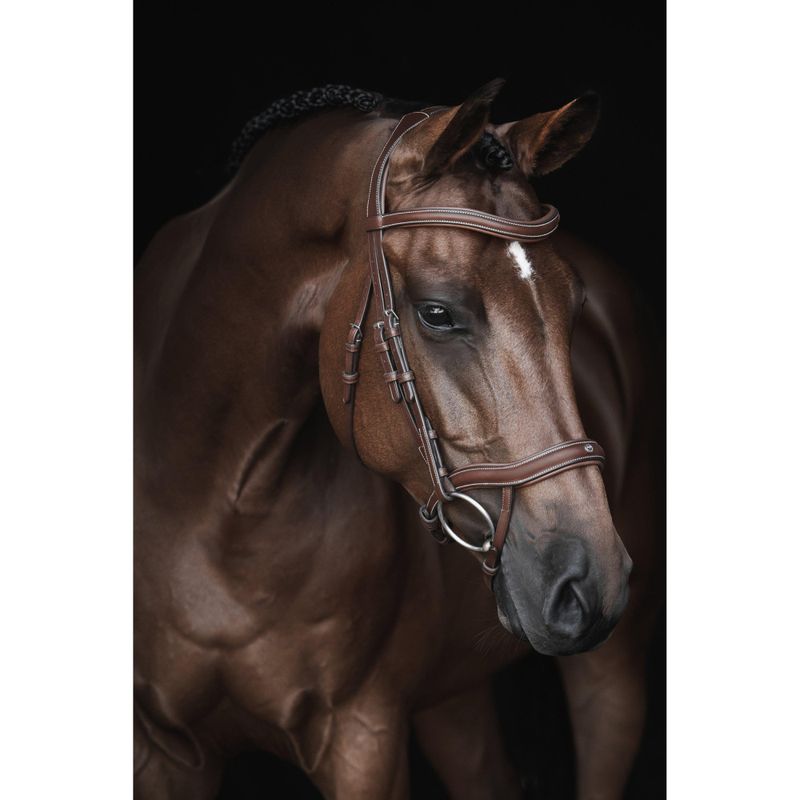 Lippo Eccelente hodelag